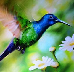 DE BEIJA-FLOR A AVESTRUZ