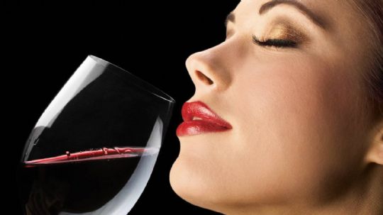 5 dicas de vinhos para harmonizar com carnes
