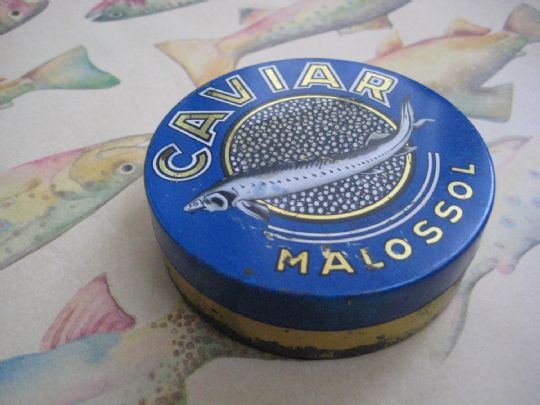 Caviar; nobre e delicioso