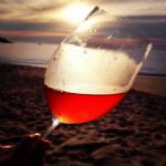 Orgnico; um novo vinho