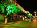 Ento  Natal