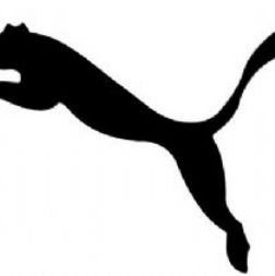sessenta anos de puma