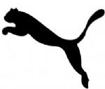 sessenta anos de puma