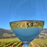 Voc sabe o que  Vinho Verde? 