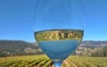 Voc sabe o que  Vinho Verde? 